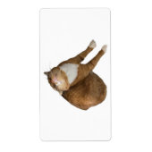 Upside-Down Sunshine ラベル (正面)