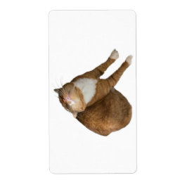 Upside-Down Sunshine ラベル