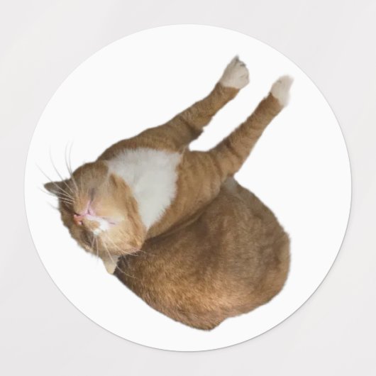 Upside-Down Sunshine ラベル (デザイン1)