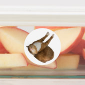 Upside-Down Sunshine ラベル (貼付)