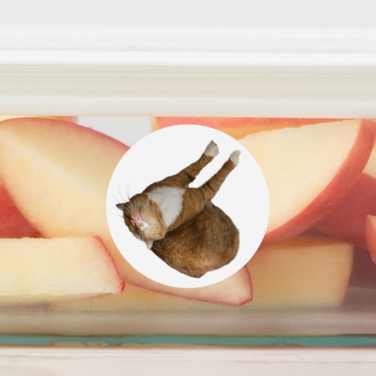 Upside-Down Sunshine ラベル (貼付)