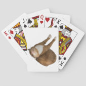 Upside-Down Sunshine Cat トランプ (裏面)