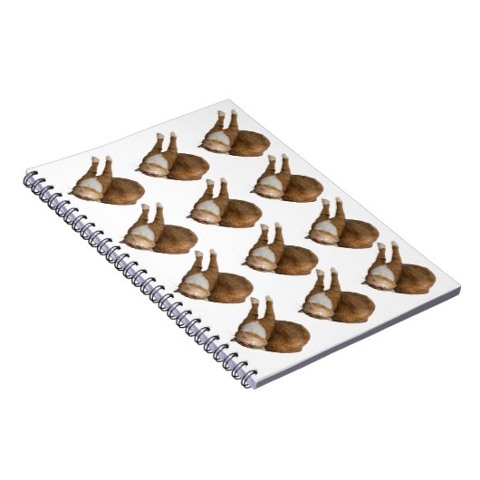 Upside-Down Sunshine Cat ノートブック (右側)