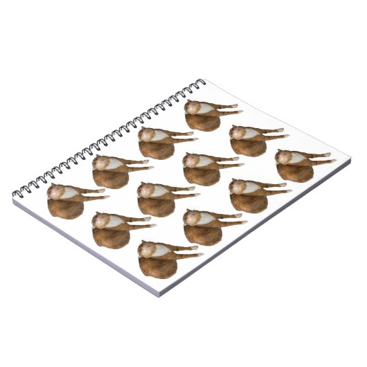 Upside-Down Sunshine Cat ノートブック (左側)