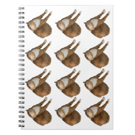 Upside-Down Sunshine Cat ノートブック