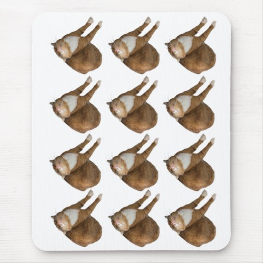 Upside-Down Sunshine Cat マウスパッド (正面)