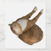 Upside-Down Sunshine Cat ワインラベル (シングルラベル)