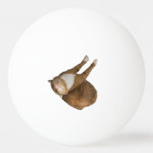 Upside-Down Sunshine Cat 卓球ボール (正面)