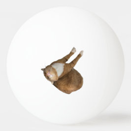 Upside-Down Sunshine Cat 卓球ボール