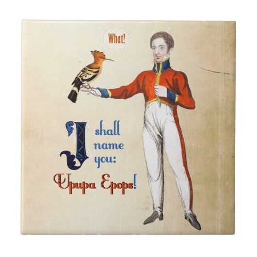 Upupa Epops タイル (正面)