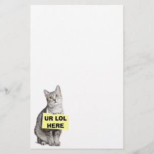 UR LOLはこちら