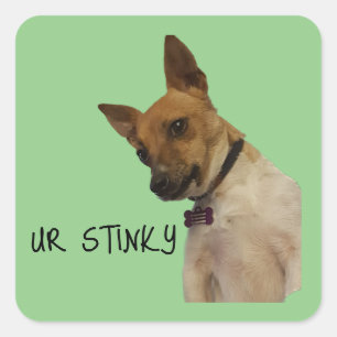 Ur Stinkyステッカー スクエアシール