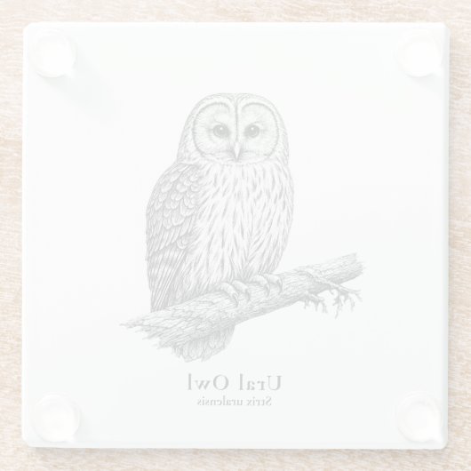 Ural Owl ガラスコースター (裏面)