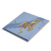 「Uranometriaからのクラゲの頭部とのPerseus、 タイル (側面)