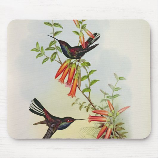 Urochroa Bougieri マウスパッド (正面)