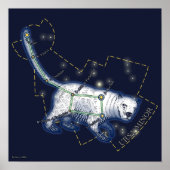 Ursa Minor （ポスター） ポスター (正面)