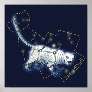 Ursa Minor （ポスター） ポスター