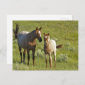 US35 CHA0209.jpg ポストカード (正面/裏面)