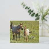 US35 CHA0209.jpg ポストカード (スタンド正面)