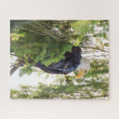 US48 TDR1627.jpg ジグソーパズル (横)