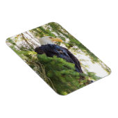 US48 TDR1627.jpg マグネット (右側)