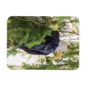 US48 TDR1627.jpg マグネット (横)