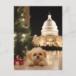 US Capitol Hill Christmas Postcard dog ポストカード