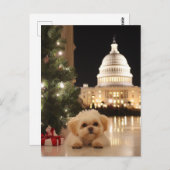 US Capitol Hill Christmas Postcard dog ポストカード (正面/裏面)