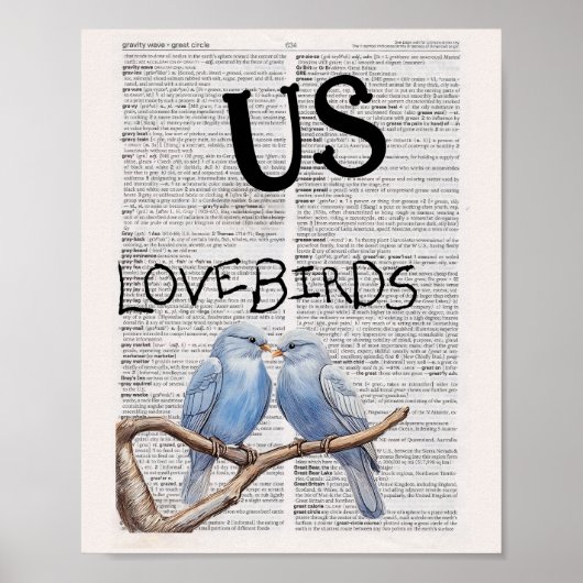 US — LOVEBIRDS ポスター (正面)