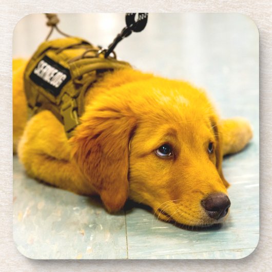 US MILITARY SERVICE DOG コースター (正面)