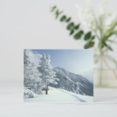 US, NH,スノーカバードツリーズトレイルズスノーシュー ポストカード (スタンド正面)
