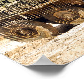 US Soldiers conduct a combat patrol in Afghanis ポスター (角)