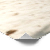 USAドリームガール14 ポスター (角)