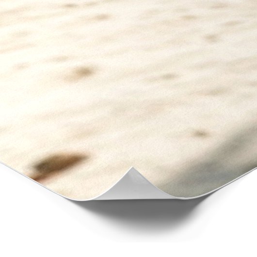 USAドリームガール14 ポスター (角)