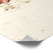 USAドリームガール3 ポスター (角)