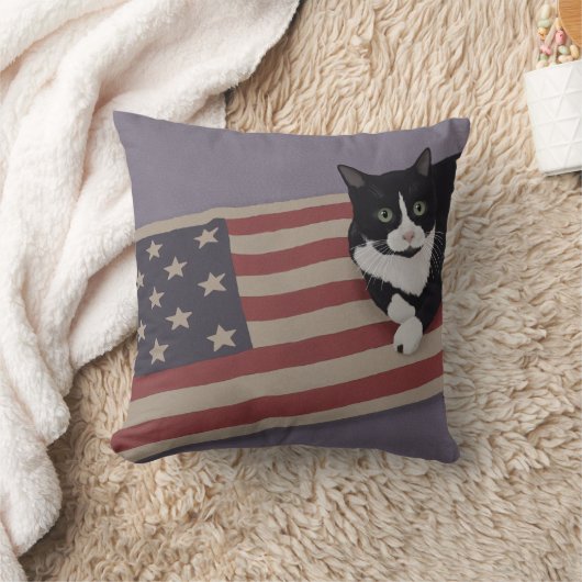 USAネコ クッション (ブランケット)