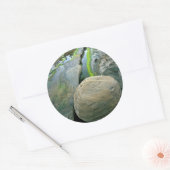 USA,オレゴン,ショアエーカー州パーク ラウンドシール (封筒)