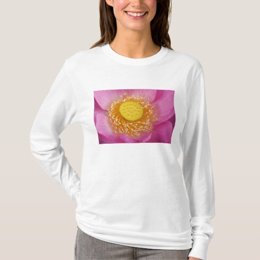 USA; ノースカロライナ州; 蓮の花が咲く Tシャツ (正面)