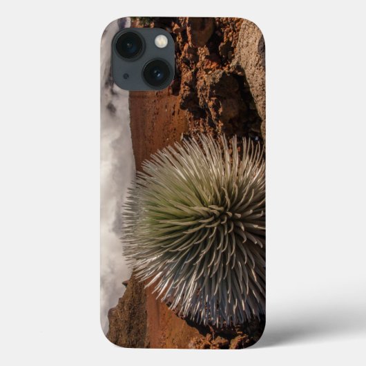 USA、ハワイ、マウイ、ハレアカラ国立公園 Case-Mate iPhoneケース (裏面)