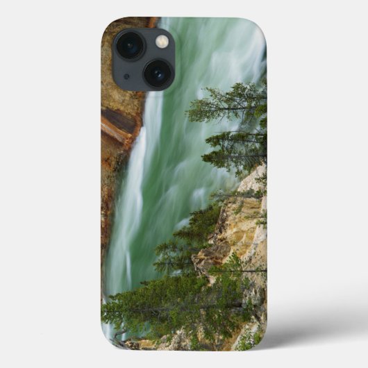 USA，ワイオミング，イエローストーン国立公園 Case-Mate iPhoneケース (裏面)