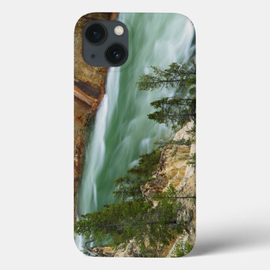 USA,ワイオミング,イエローストーン国立公園 Case-Mate iPhoneケース (裏面)