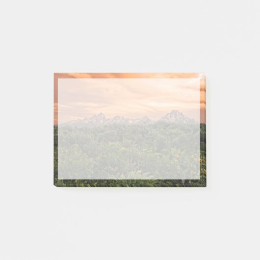 USA,ワイオミング,グランドテトン国立公園1 ポストイット (正面)