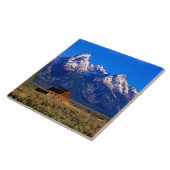 USA，ワイオミング，グランドテトン国立公園，モーニング タイル (側面)