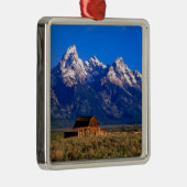 USA，ワイオミング，グランドテトン国立公園，モーニング メタルオーナメント (右)