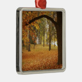 USA，ワシントン，スポケーン，マニト公園，秋2 メタルオーナメント (右)