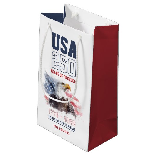 USA 1776-2026 America's 250th Anniversary Party スモールペーパーバッグ (裏面アングル)