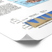 " USA: 1995 Hawaii Rediscoverin Map ... ポスター (角)
