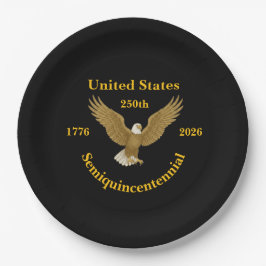 USA 250 Elegant Black Paper Plates ペーパープレート