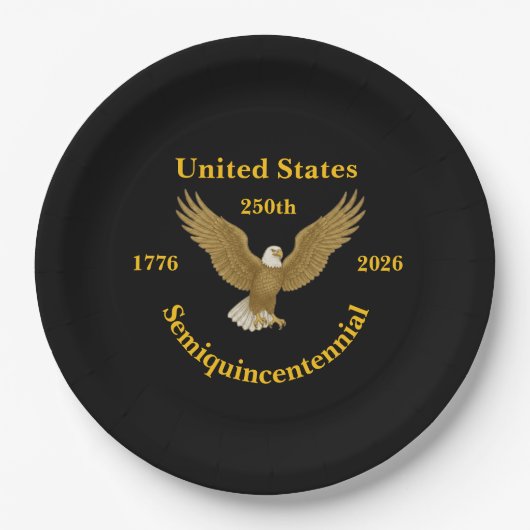USA 250 Elegant Black Paper Plates ペーパープレート (正面)