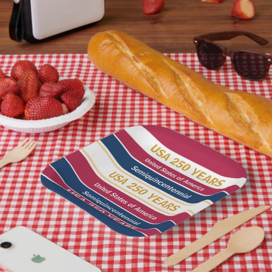 USA 250 Years Semiquincentennial Patriotic Stripes ペーパープレート (ピクニック)